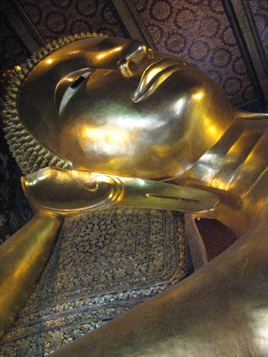 Searching for Buddha