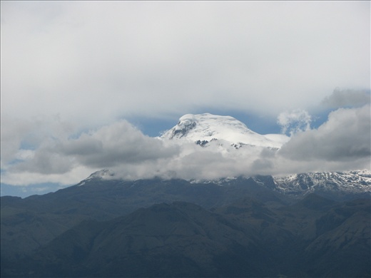 Bidding Ecuador hasta&nbsp;luego