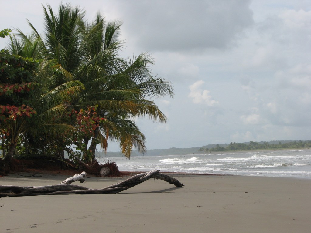 Making ourselves at home at the&nbsp;reserve