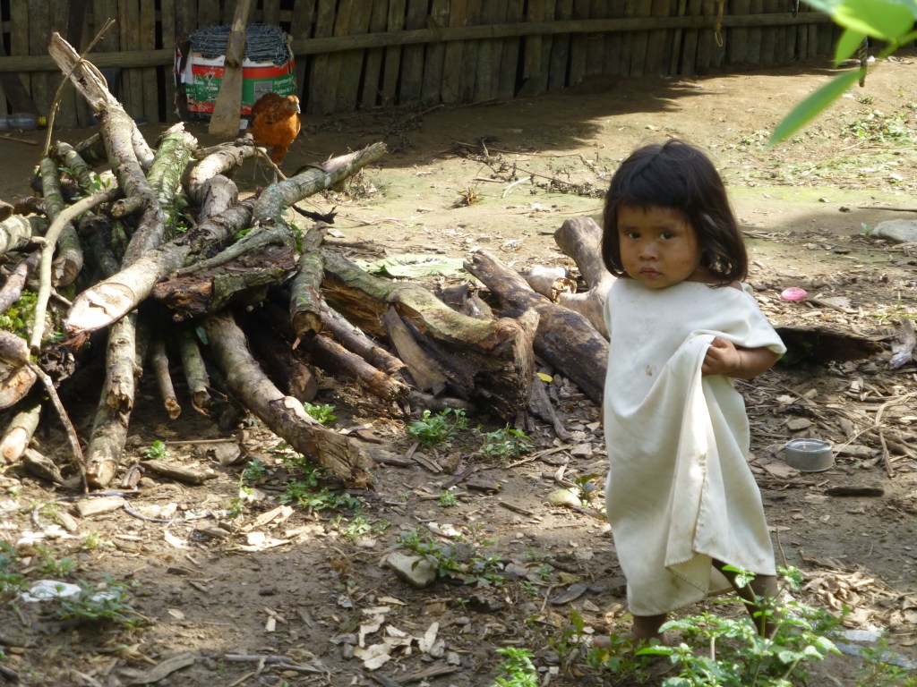 Trekking to the Lost City (Ciudad&nbsp;Perdida)