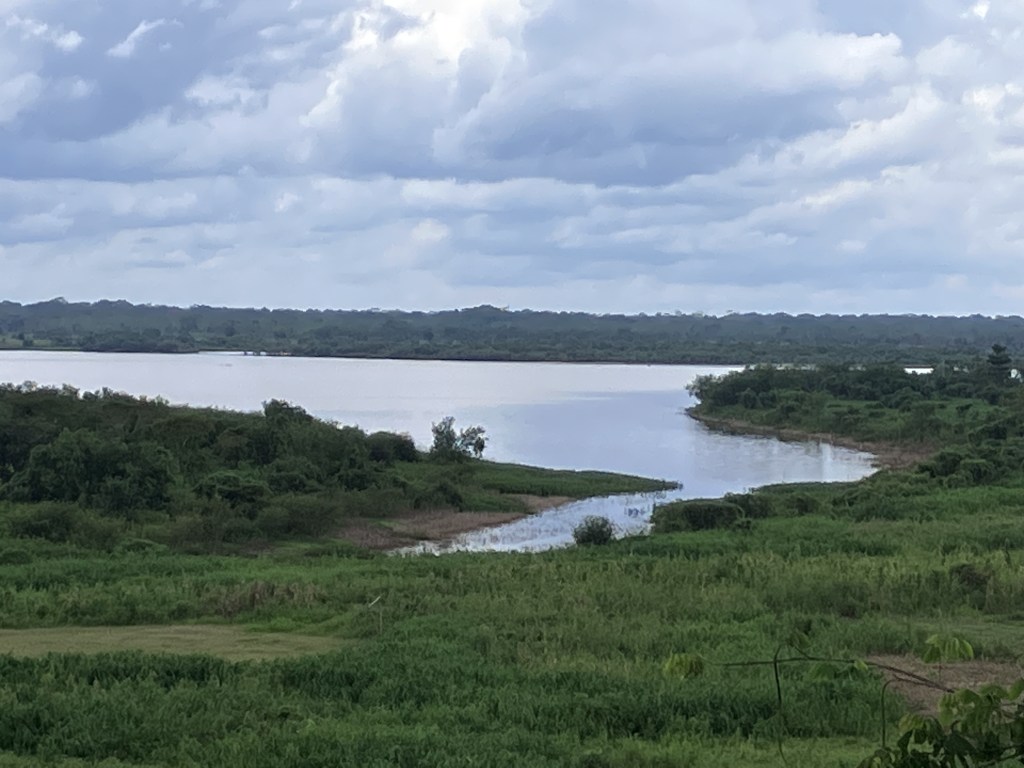 Turning the light&nbsp;on