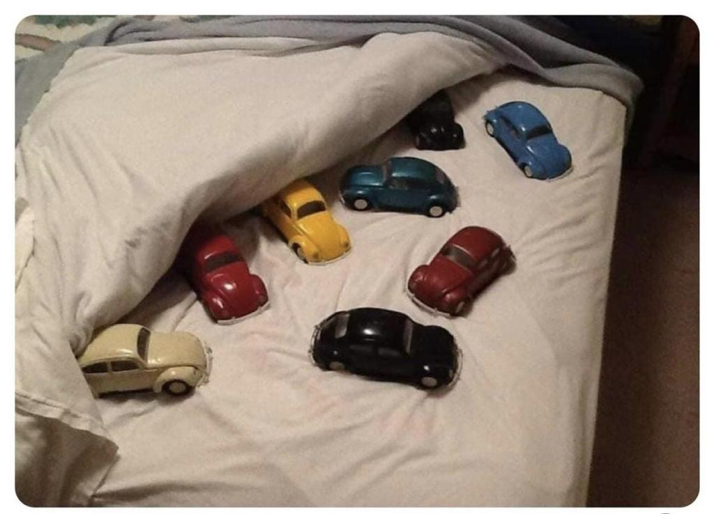 Bitten by the&nbsp;bug